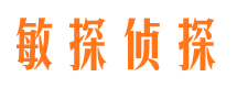 肥西市侦探调查公司